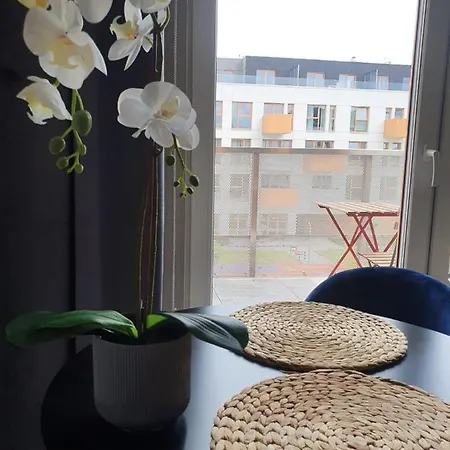 아파트 Osiedle Ptasie, New - Lux - Priv Parking