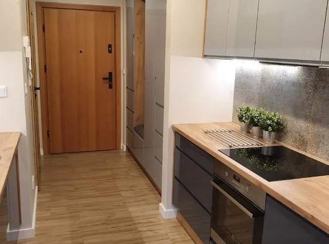 Osiedle Ptasie, New - Lux - Priv Parking Apartment